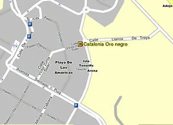 Catalonia Oro Negro Hotel Playa de las Americas